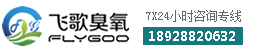 飛歌臭氧 飛歌臭氧